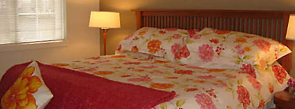 Cox Exterior plus Bedroom Vignette